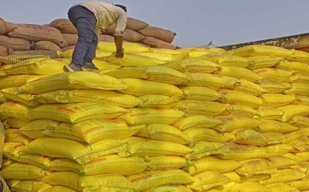 अब यूरिया खाद पर नहीं होगी किचकिच! 100 लाख टन के गैप को भरने के लिए नई पॉलिसी तैयार