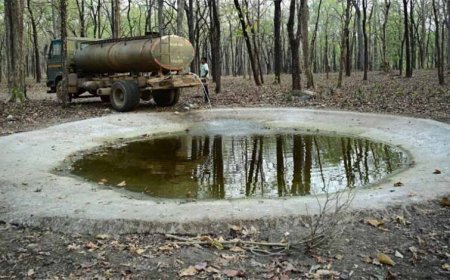 भीषण गर्मी में वन्यजीवों के लिए ‘संजीवनी’ बना बारनवापारा