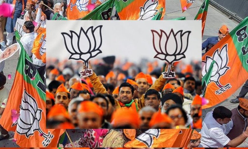 एमपी में दो पूर्व मंत्रियों समेत 11 विधायकों को मिला बड़ा दायित्व, बीजेपी ने बनाई 89 सदस्यीय जंबो टीम