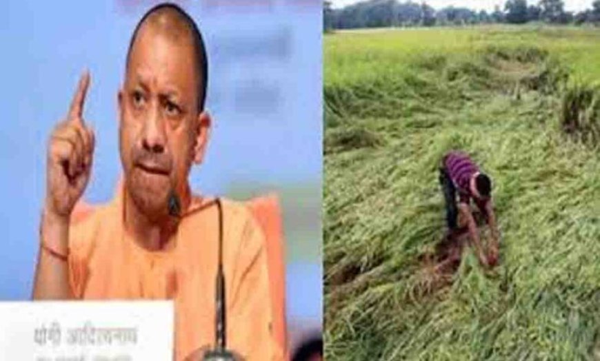 किसानों की फसल नुकसान पर मुख्यमंत्री गंभीर, तत्काल राहत वितरण के निर्देश