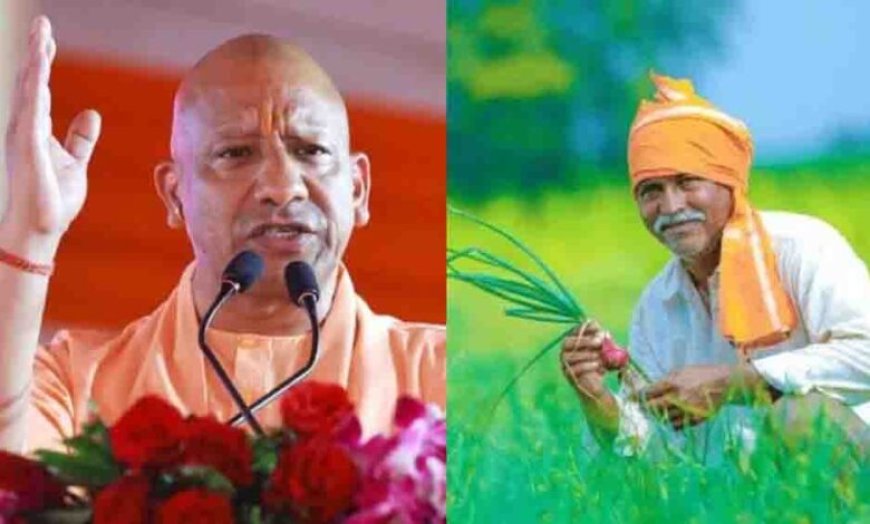 यूपी में बेमौसम बारिश और ओलों का कहर,गेहूं की 40% फसल बर्बाद, किसानों के समर्थन में मैदान में उतरे CM योगी