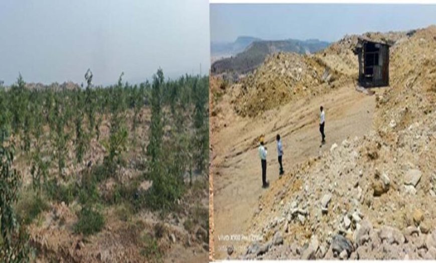 रायपुर : बंजर डंप क्षेत्र से हरा-भरा जंगल बनने की ओर गेवरा की अनूठी पहल