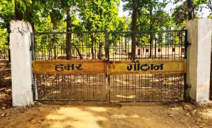 धोवाताल की 60 महिलाओं ने रची आत्मनिर्भरता की मिसाल