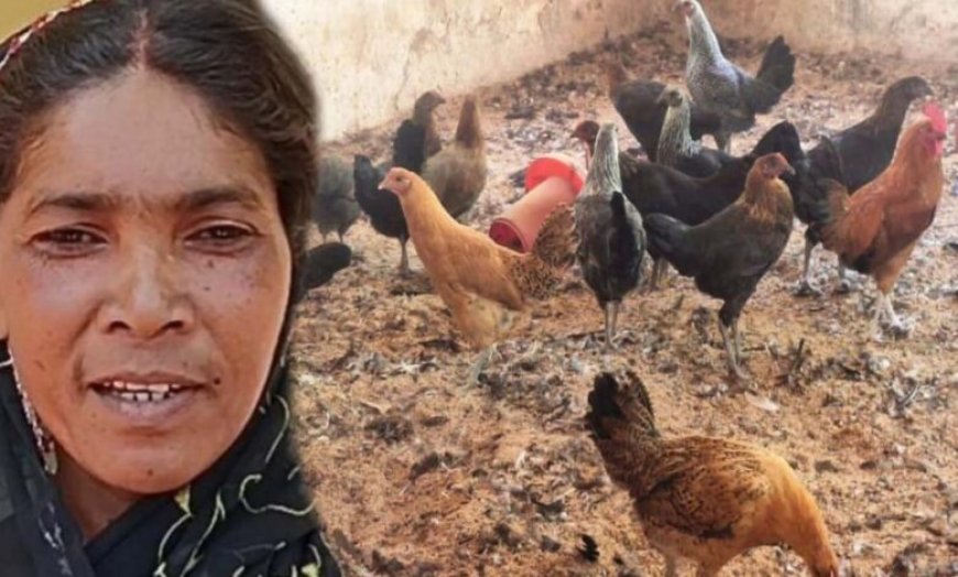 गौठान से बदली तस्वीर: धोवाताल बना आत्मनिर्भर मॉडल गांव, पलायन पर लगी रोक