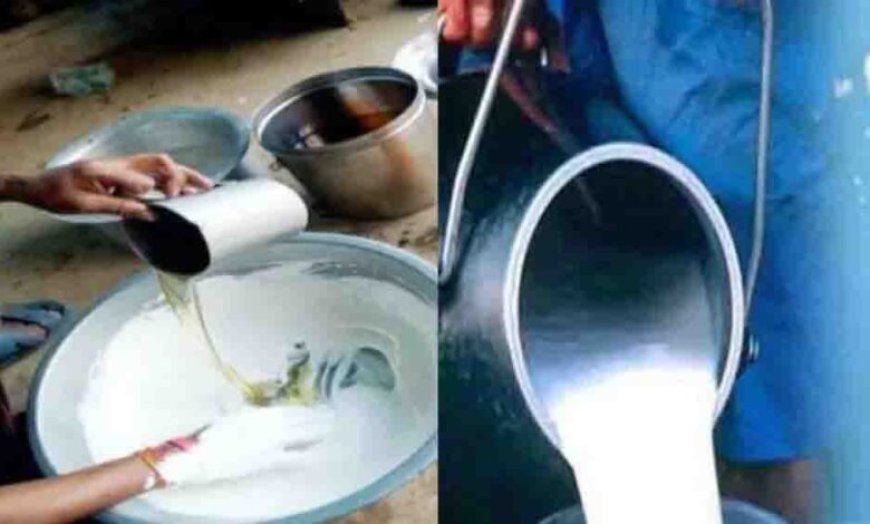 आगरा में 1200 लीटर मिलावटी दूध जब्त, रिफाइंड मिलाने का खुलासा
