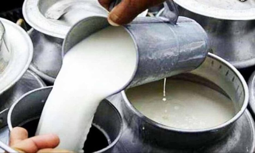 मंदसौर में नकली दूध का भंडाफोड़: 700 लीटर दूध के साथ यूरिया और केमिकल बरामद