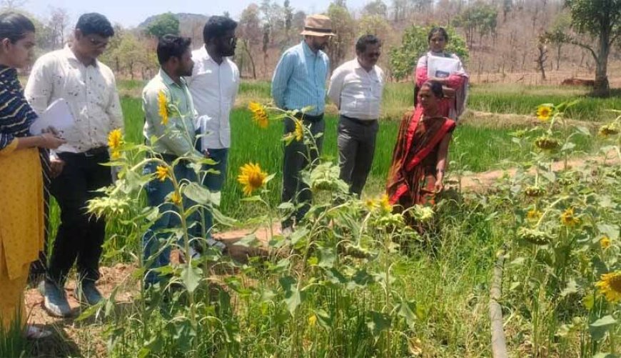 दीदी के बखरी से बदल रही तस्वीर : कांकेर में महिला किसानों की आय में क्रान्तिकारी