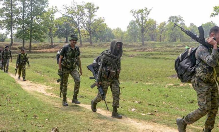 छत्तीसगढ़-ओडिशा सीमा पर बड़ा खुलासा: जंगल से भारी विस्फोटक बरामद, CRPF ने तेज की सर्चिंग