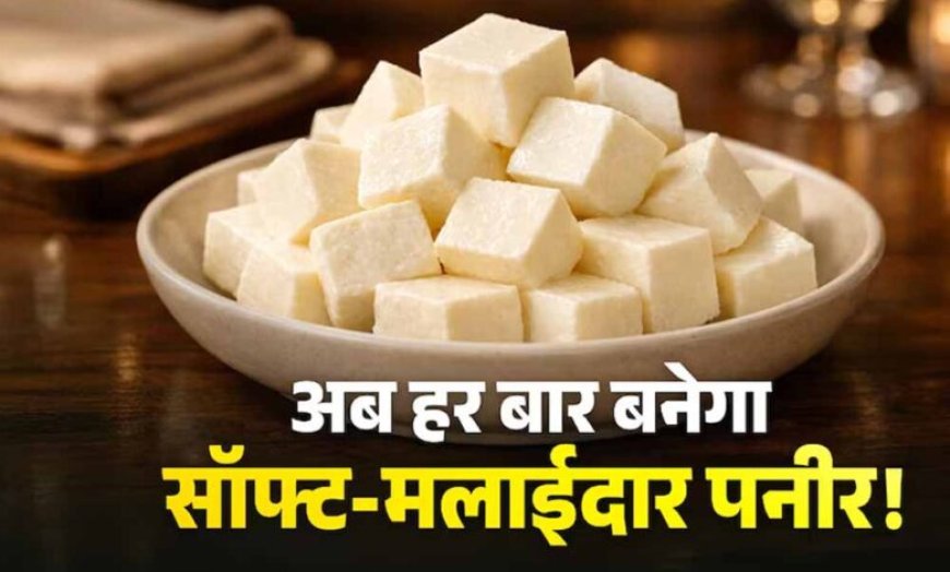 घर का पनीर बनेगा हलवाई जैसा सॉफ्ट, अपनाएं ये आसान टिप्स