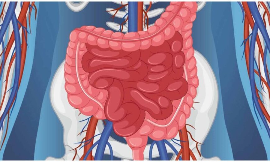 ज्यादा तीखा खाना पड़ सकता है भारी, पेट और पाचन पर डालता है असर