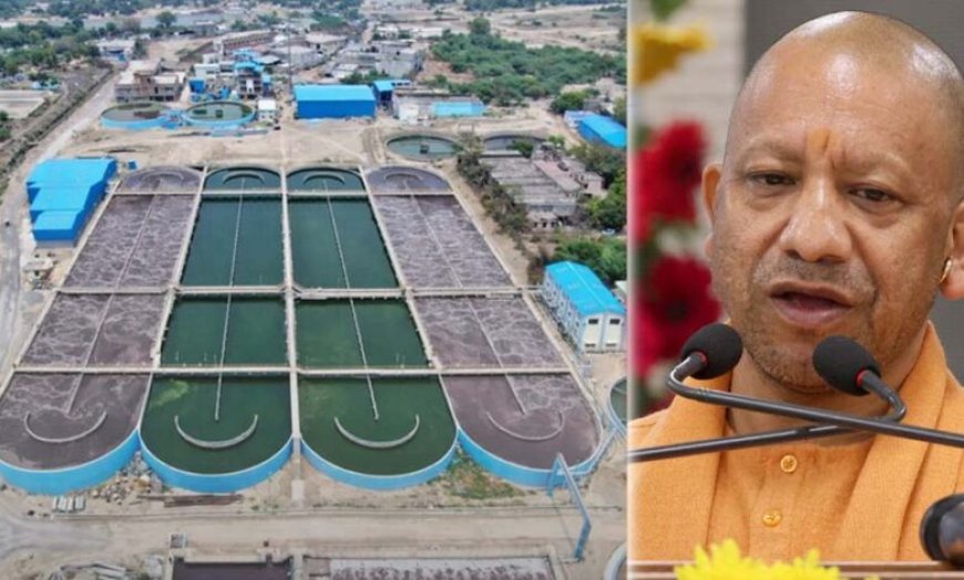 गंगा के किनारे 26 जिलों में ऑर्गेनिक क्लस्टर से बदल रही यूपी की तस्वीर