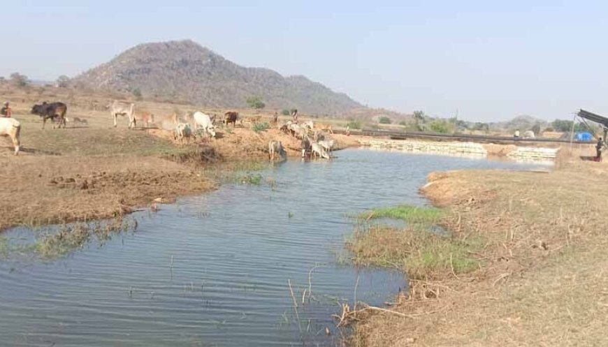 मनरेगा से पनारी नाले का जीर्णोद्धार: 1200 ग्रामीणों को पेयजल व सिंचाई का लाभ