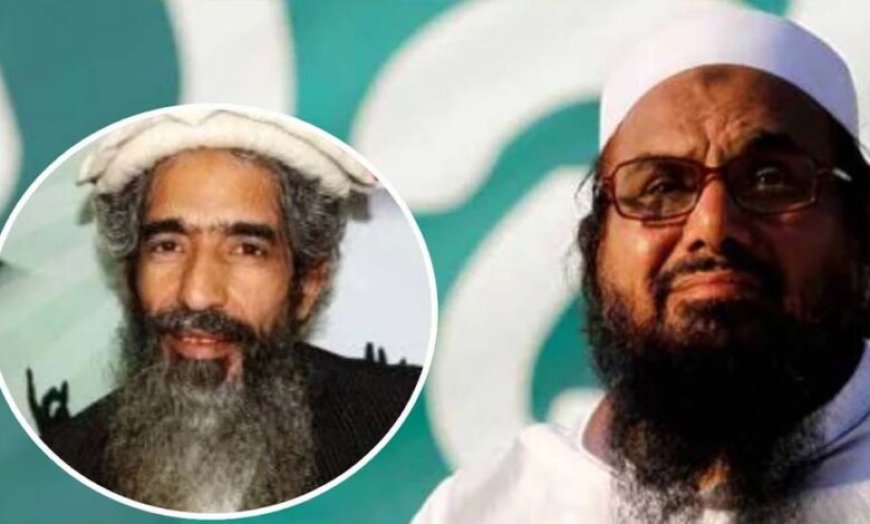 आतंकी हाफिज सईद के राइट हैंड हमजा को PAK में मारी गोली, फिर सक्रिय हुआ अज्ञात गनमैन
