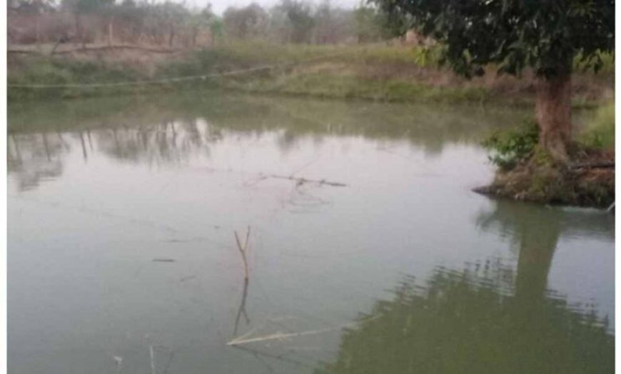 डबरी, मछली पालन और बहुफसली खेती से बदली तकदीर—सगनू बने गांव के प्रेरणास्रोत