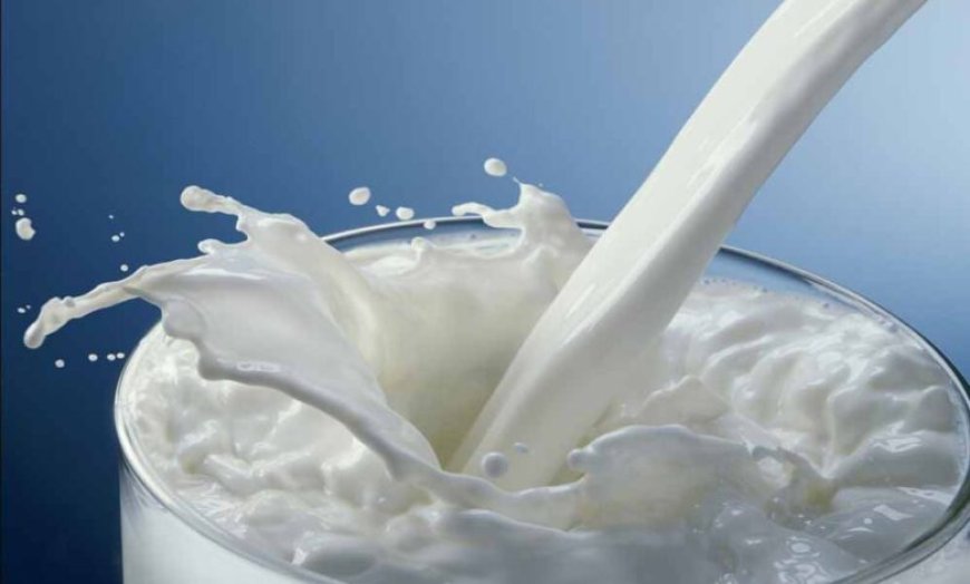 17 से होगा दुग्ध स्वर्ण महोत्सव-2026: एक साथ एकत्र होंगे 10 हजार पशुपालक/दुग्ध उत्पादक