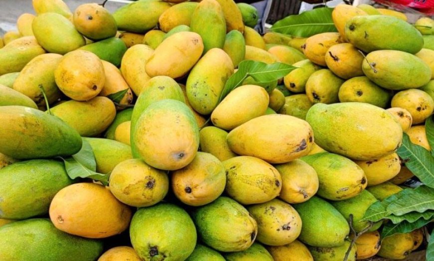 FSSAI का सख्त निर्देश: केमिकल से फल पकाने पर होगी कार्रवाई