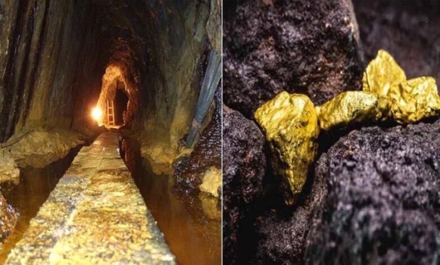 दुनिया में तेल संकट के बीच भारत को मिला खजाना, 42.5 टन सोने का भंडार, डॉलर की बारिश अगले माह से