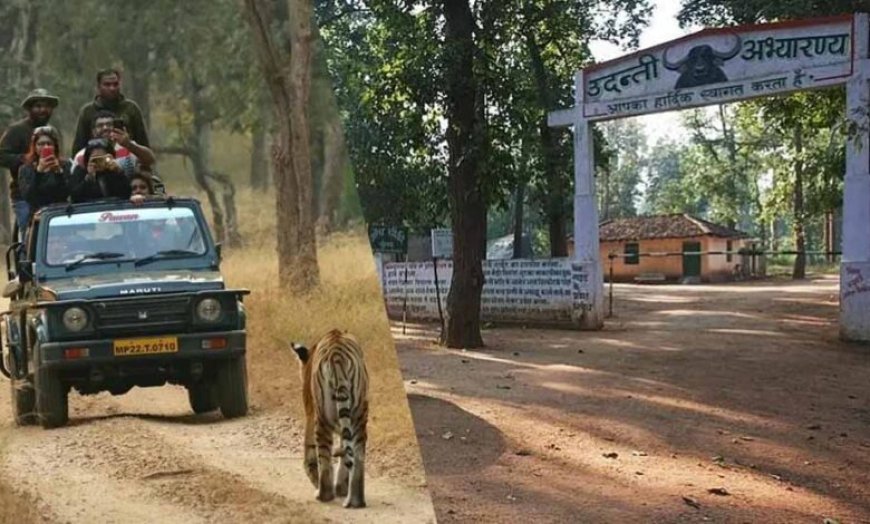उदंती सीतानदी टाइगर रिजर्व में ‘फायर-वॉटर’ मॉडल का कमाल, 750 जल स्रोत और हाईटेक निगरानी से जंगल सुरक्षित