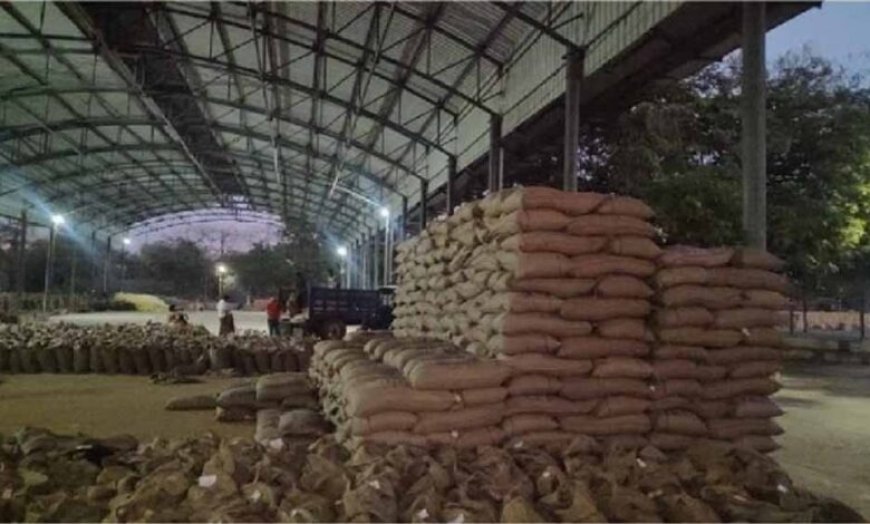 एक लाख 45 हज़ार 71 किसानों से की जा चुकी है 63 लाख 27 हजार 410 क्विंटल गेहूँ की खरीदी : मंत्री राजपूत