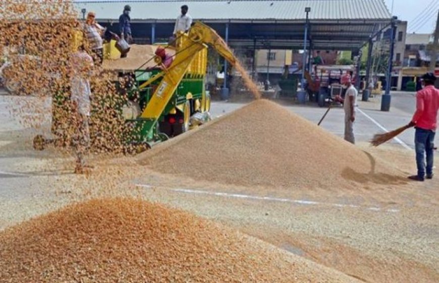 मुख्यमंत्री ने गेहूं खरीद में किसानों को दी बड़ी राहत