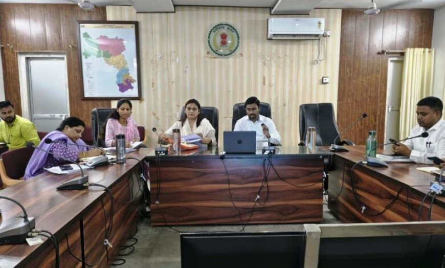 समय-सीमा बैठक में कलेक्टर सख्त, डीएमएफ कार्यों पर कड़ी निगरानी