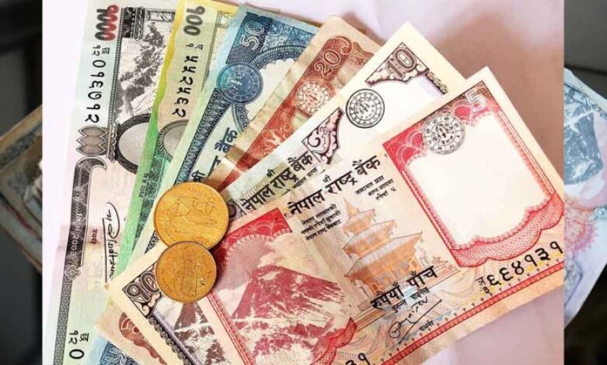 अब से महीने में 2 बार मिलेगी सैलरी, सरकार का नया नियम, देश की इकॉनमी को पटरी पर लाने के लिए लिया गया फैसला