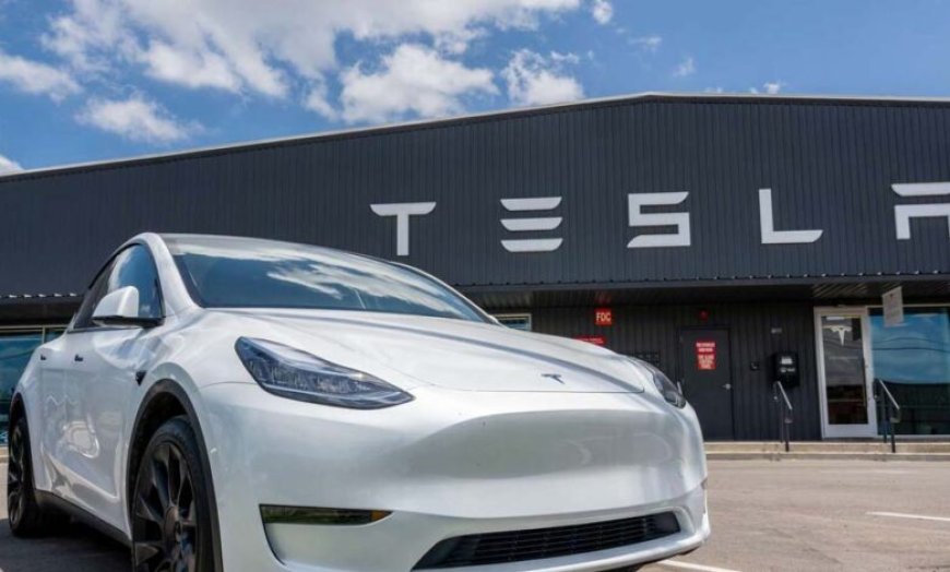 भारत में टेस्ला क्यों फेल हुई? 10% टारगेट भी नहीं हुआ पूरा, क्या 6-सीटर से होगा डैमेज कंट्रोल?