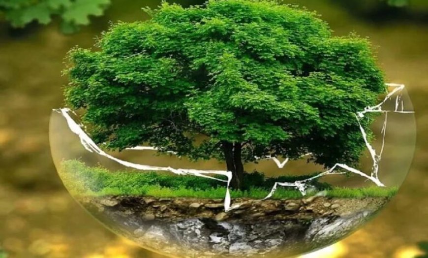 विश्व पृथ्वी दिवस पर INTACH की राष्ट्रीय पोस्टर प्रतियोगिता आयोजित