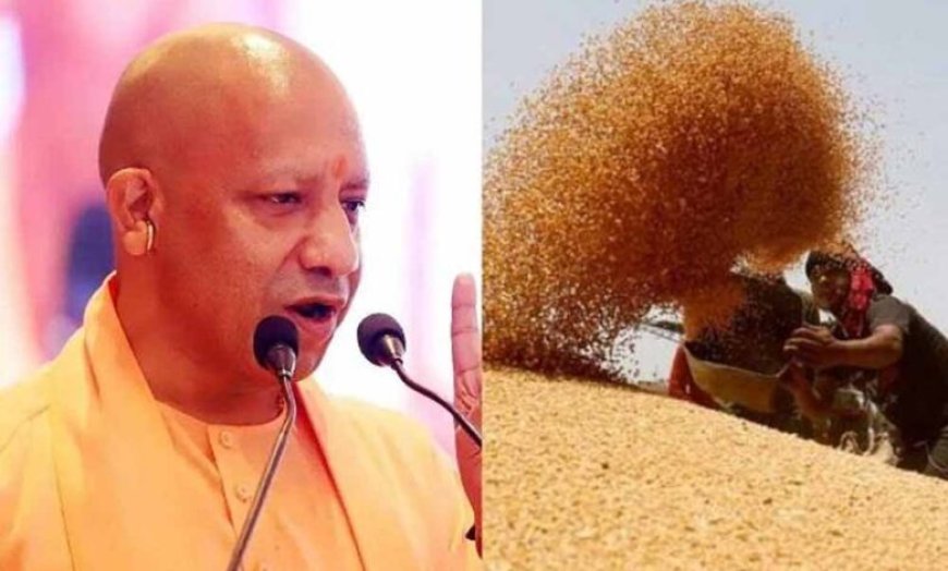 सरकार ने असमय बारिश से प्रभावित गेहूं पर दी राहत, पूरे प्रदेश में शिथिल मानकों के साथ होगी खरीद