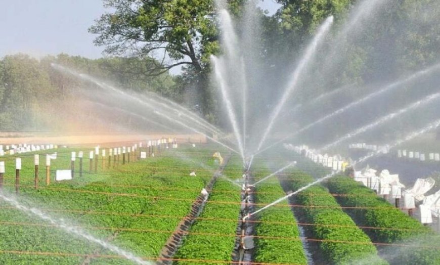 मध्य प्रदेश के 678 गांवों को चूमेगी हरियाली, वॉटर प्रोजेक्ट पर मोहन सरकार बहाएगी पैसा