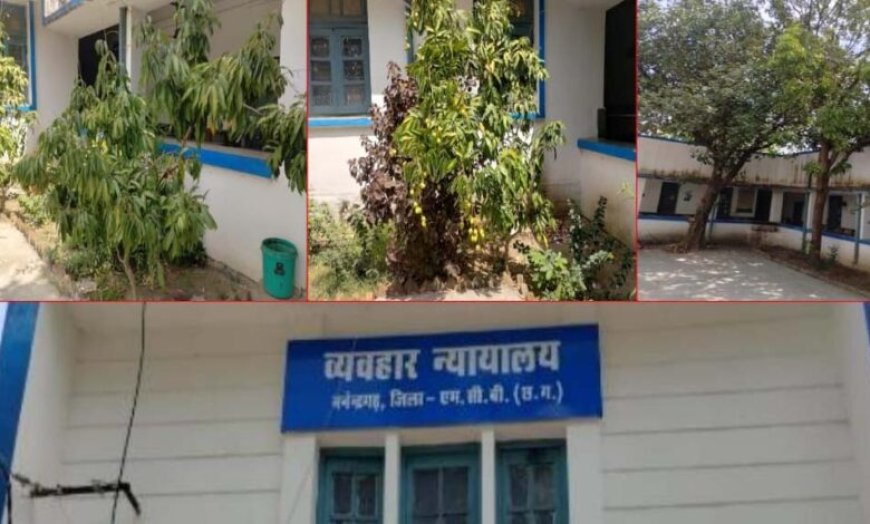 हरियाली की गोद में न्याय का मंदिर:मनेन्द्रगढ़ न्यायालय परिसर बना प्रकृति का मनमोहक आंगन