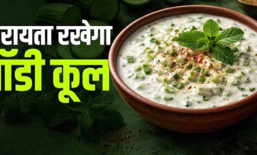 गर्मियों के लिए परफेक्ट पुदीना-लहसुन रायता, स्वाद और सेहत दोनों में शानदार