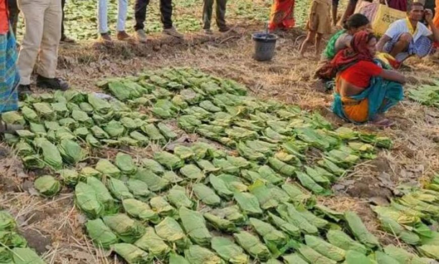 बालोद : मई के पहले सप्ताह से शुरू होगा तेंदुपत्ता संग्रहण का कार्य