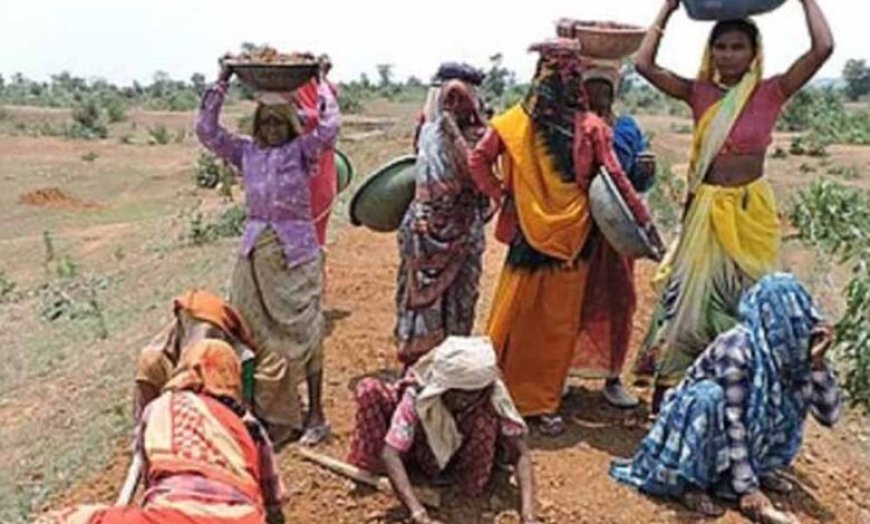 मनरेगा ई-केवाईसी में छत्तीसगढ़ नंबर-1, 97.11% सक्रिय श्रमिकों को मिली सुविधा