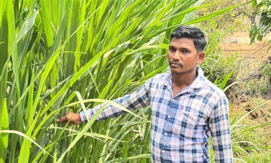 मजदूरी की बेड़ियां तोड़ ‘मल्टी-फार्मिंग’ के नायक बने ललित यादव