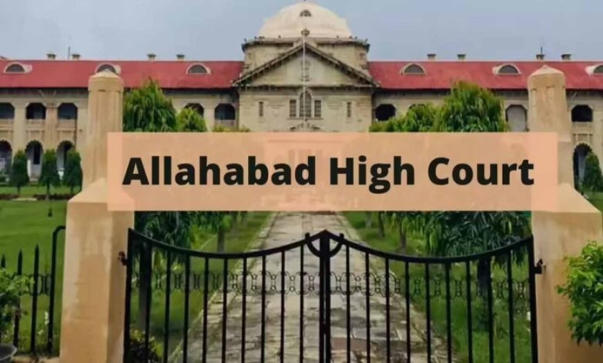 इलाहाबाद हाई कोर्ट का बड़ा फैसला, किन्नरों को ‘बधाई’ वसूली का कानूनी अधिकार नहीं