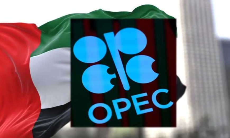 भारत को फायदा, पाकिस्तान को नुकसान… UAE के OPEC छोड़ने से किसे कितना नफा-नुकसान?