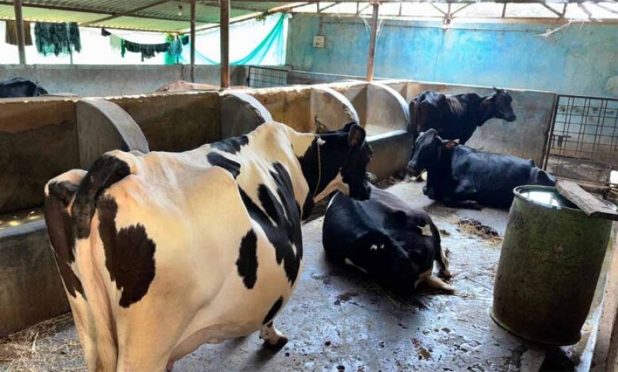 फलता की कहानी