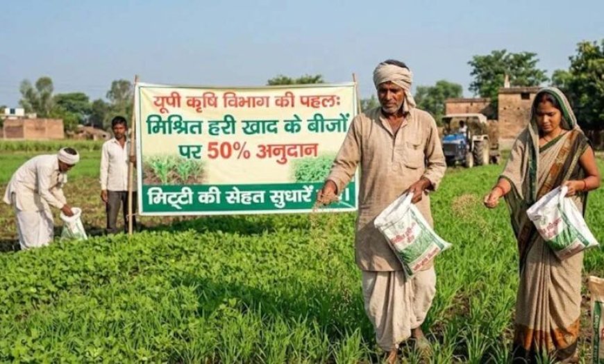 हरी खाद- खेती में बढ़ेगा उत्पादन, मिट्टी की सेहत होगी बेहतर