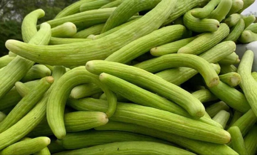 गर्मी में ककड़ी खाने के फायदे, शरीर को रखे ठंडा और हाइड्रेटेड