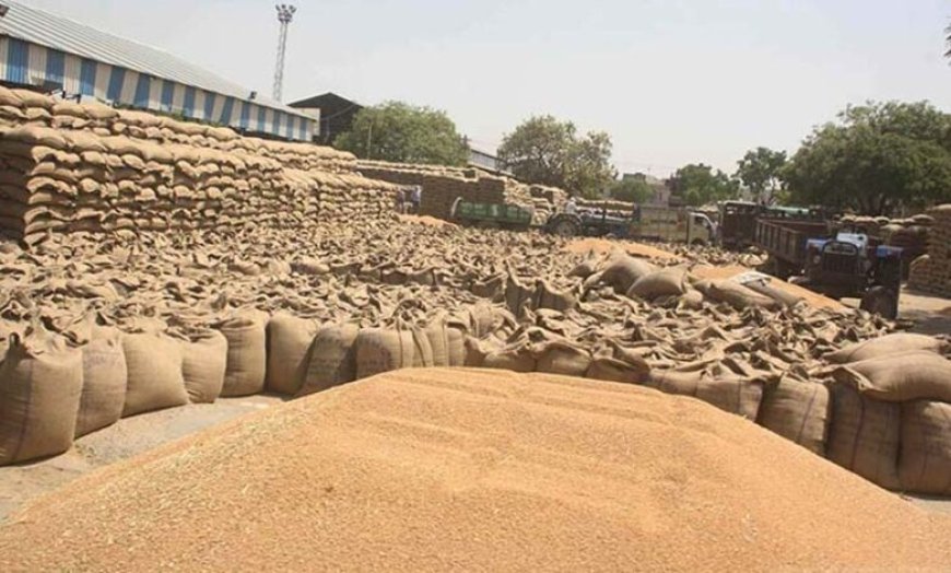 प्रदेश में किसानों के लिए खुशखबरी, गेहूं उपार्जन की तारीख बढ़ी, जानें नया अपडेट