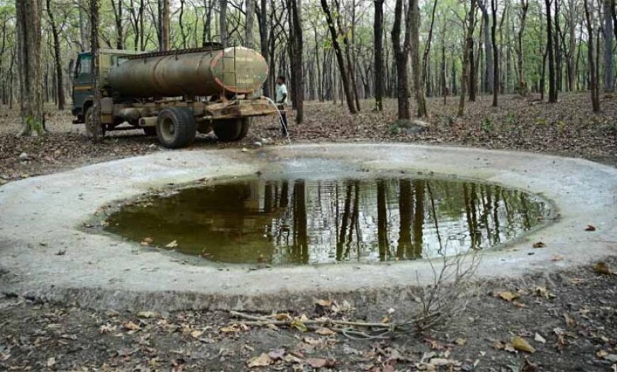 भीषण गर्मी में वन्यजीवों के लिए ‘संजीवनी’ बना बारनवापारा