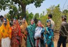 तेंदूपत्ता संग्रहण में मानव-वन्यजीव संघर्ष रोकने वन विभाग की अनूठी पहल