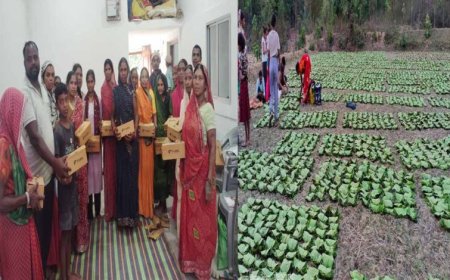 तेन्दूपत्ता से बदली जिंदगी, बढ़ी आय और सम्मान बढ़ी आय और सम्मान