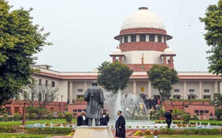 सरकार को कानून बनाने के लिए मजबूर नहीं कर सकते, सुप्रीम कोर्ट का बड़ा बयान