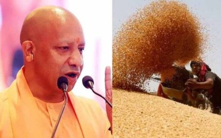 प्रदेश में गेहूं खरीद ने पकड़ी रफ्तार, 28 अप्रैल तक 6.10 लाख मीट्रिक टन गेहूं की खरीद