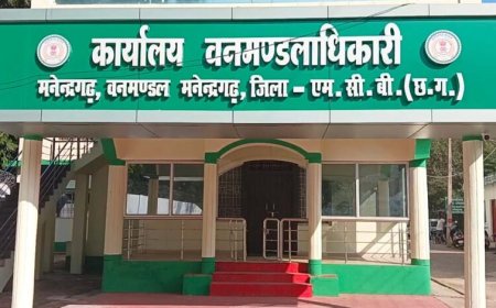 मनेन्द्रगढ़ वनमण्डल में तबादला आदेश पर उठे सवाल