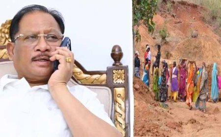 मनरेगा के तहत छत्तीसगढ़ को बड़ी सौगात : भारत सरकार से 1333 करोड़ रुपए स्वीकृत, 212 करोड़ की मजदूरी राशि का भुगतान