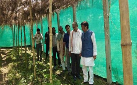उप मुख्यमंत्री ने किया प्राकृतिक खेती का निरीक्षण