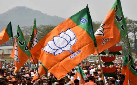 BJP राष्ट्रीय कार्यकारिणी गठन की तैयारी, छत्तीसगढ़ के पांच नेताओं को मिल सकती है जगह; 12 मई को अहम बैठक